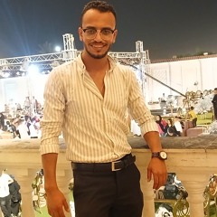 Mostafa Kamel