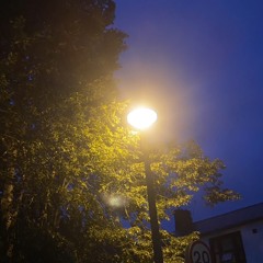 Xxxp0s3D