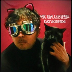 Vic da Looper