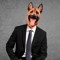 KingdogSound