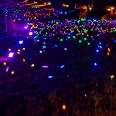 .𝖕𝖆𝖗𝖆𝖉𝖔𝖝𝖎𝖈𝖆𝖑.