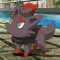 Zorua