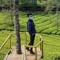 Oxy Firdaus