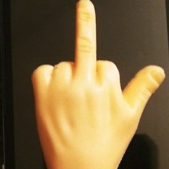 HalfPintWokkk