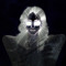 virtual Dmitri