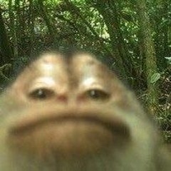 ♡-`𝓶𝓮𝓵𝓲 ´-♡