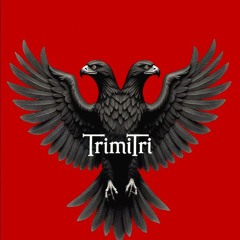 On the Run - by Trimitri [All Right Reserved]