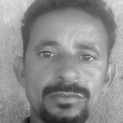 Has San Ahmed Ha San