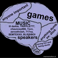 The speaker enthusiast
