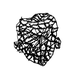 brn.nx