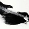 ilypulxse-