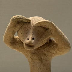 xiPu