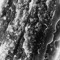 Delta 400