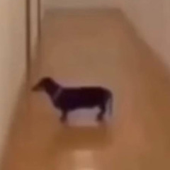 заслуженный господь