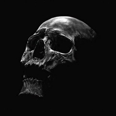 ☠>>ᗷᖇᑘᐺ<<☠