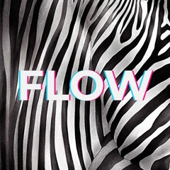 DJ Flow