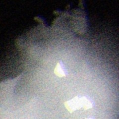 XVI
