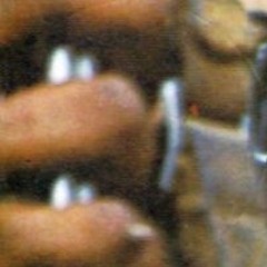 lugs