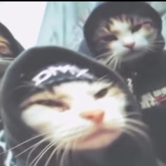 magnificentmurda