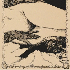 kissat koiria