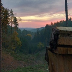 LeonmitnBierkasten