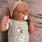charlotte webster hollos