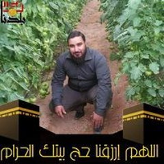 حمدي الشوادفي العفيفي