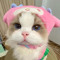 Xihan