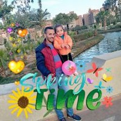 هشام حمدى