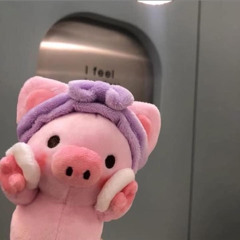 Mi Đinh
