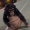 monke with basketball