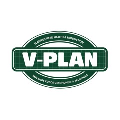 V-Plan