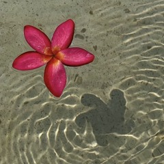 aloha❀yeshua✞