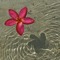 aloha❀yeshua✞