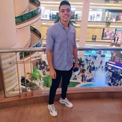 Tarek Zohry
