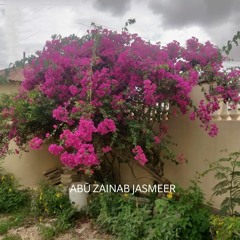 JASMEER.M.C