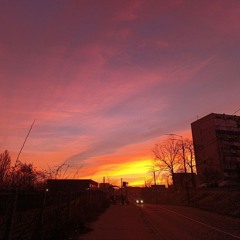 Тюльпанчик 🌷🌷