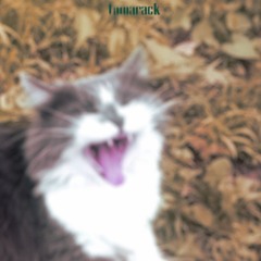 Saccharine Daydream (10/22/25)