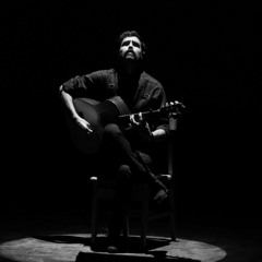 Javad Ameri. The Flamor