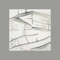 Novussurculus-tisombereal