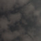 재 인