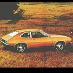 Pinto Fever