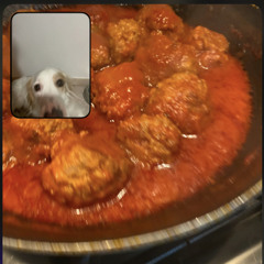 ludovicaperoni