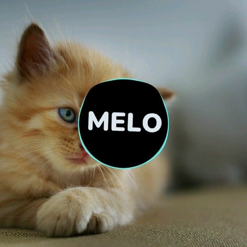 melo’s avatar