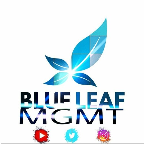 Blue Leaf Mgmt.’s avatar