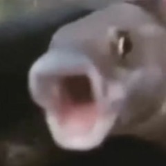 thkwiwwekth