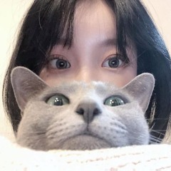 🐱