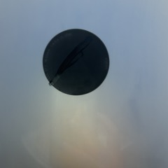 FLYandSLEEP
