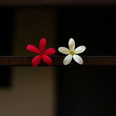 أم جيلاني 🌹