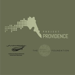 Project Providence
